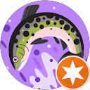 Z魚 profile picture