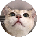 Hauff Carrie profile picture